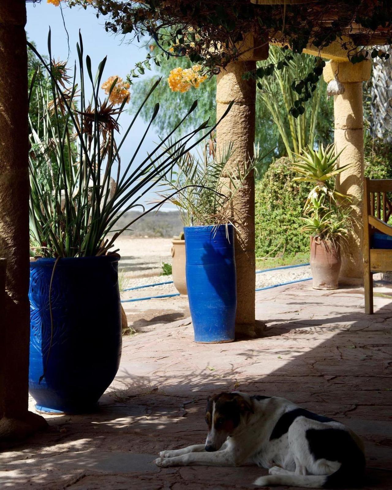 L'Air De La Mer Sidi Kaouki Exteriér fotografie